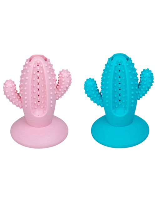 Olymira Dental Toy Cactus - Hondenspeelgoed - Assorti